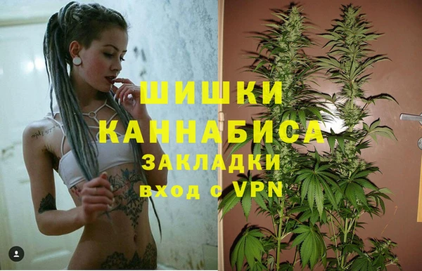 дживик Лихославль