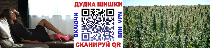 Купить  Шахты  Бошки Шишки OG Kush 